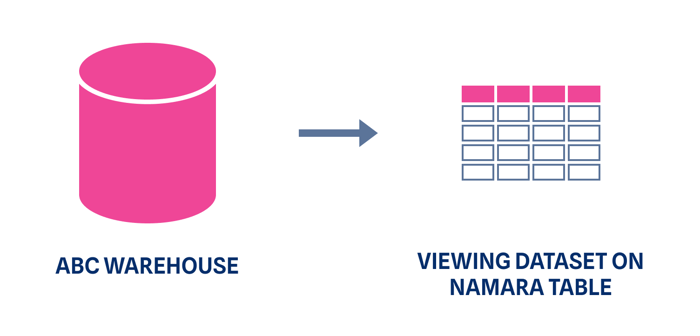 A simpler way to view and query data through Namara without ETL