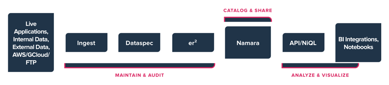 Namara Platform Illustration 