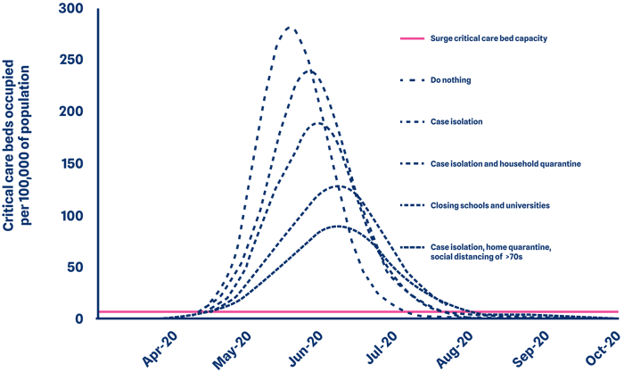 Blog - Line Graph