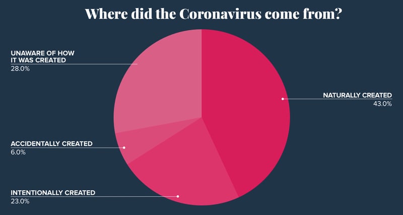 Blog - Pie Chart-1